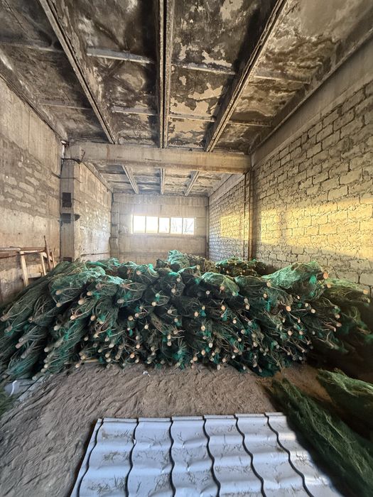 Продам новогодние елки