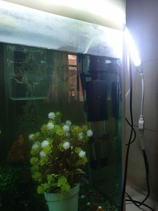 Аквариум 120 л хамма нарсаси ва 13 баликчалари билан