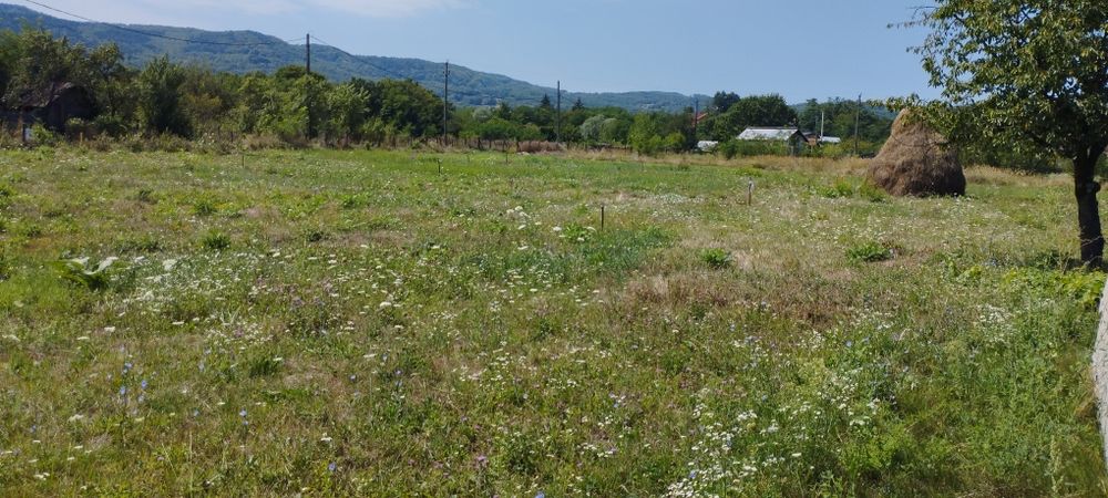 Vand teren intravilan cu parcele de 650mp