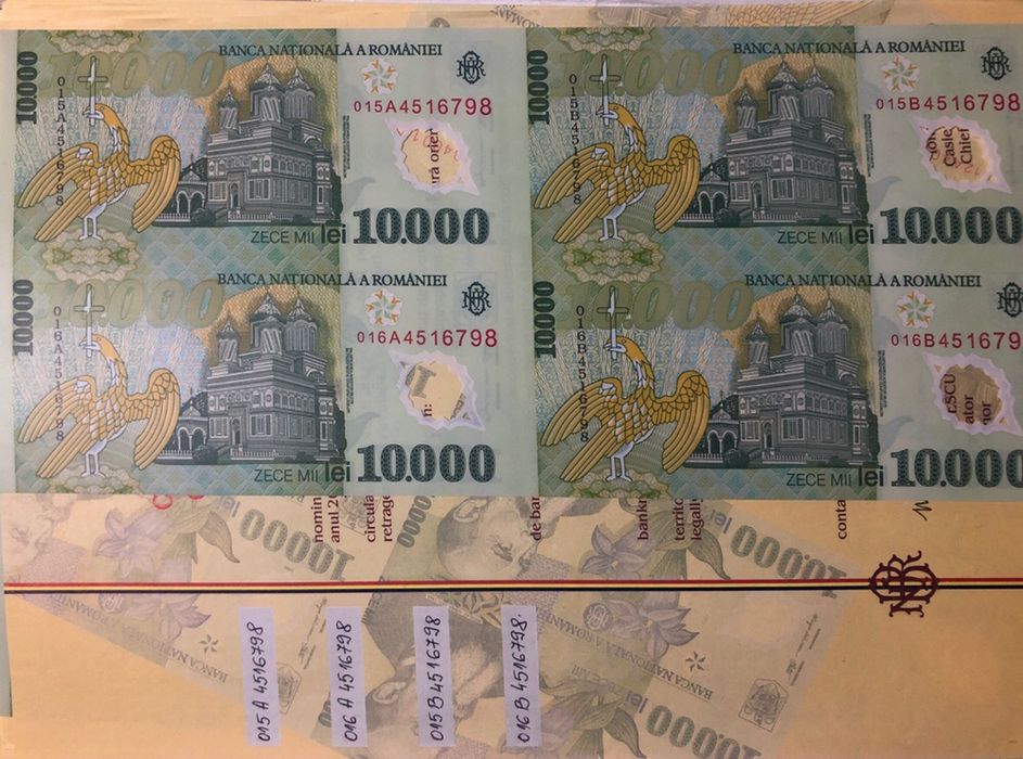 10000 lei polimer