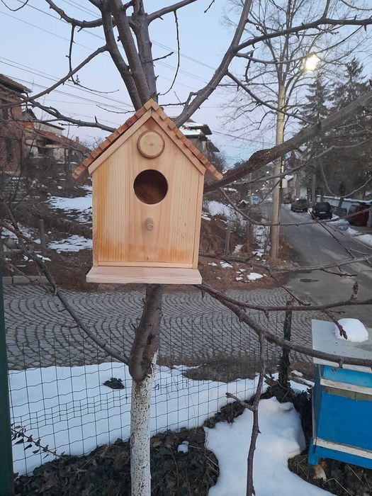 Дървени къщички, пчелно масло и пръчки за захарен памук.
