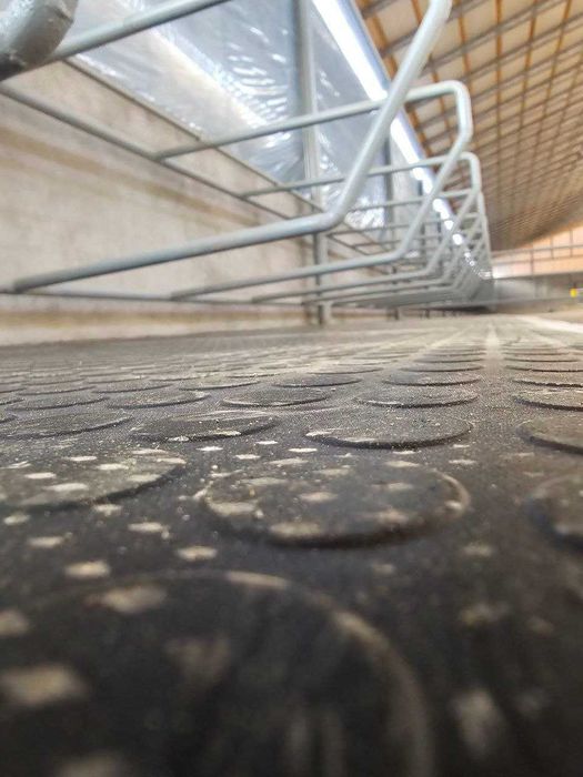 Сигирлар оёқ остига резиновый мат