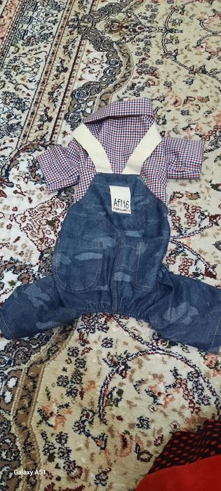 Сабака и кошки одежда