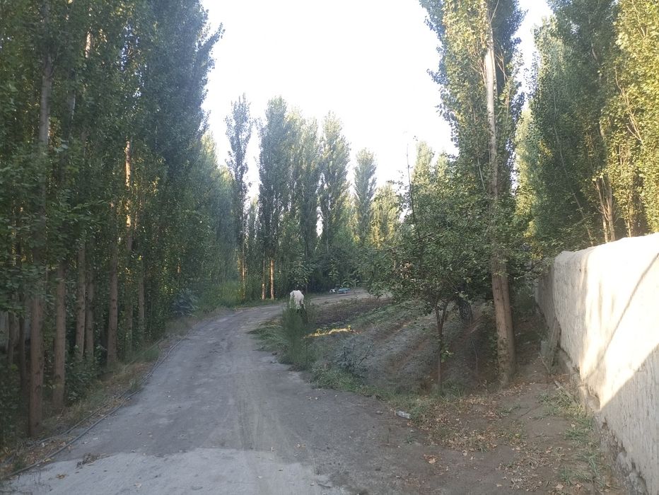 Чорва ферма сотилади 40 сотих