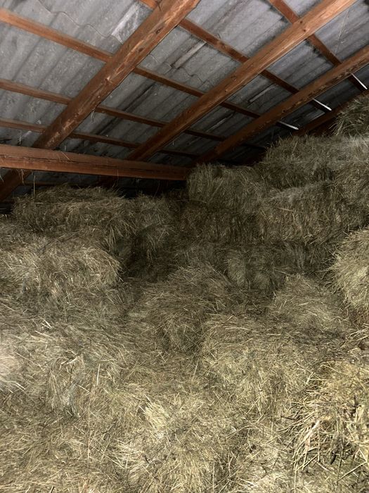 Vând baloti fân din