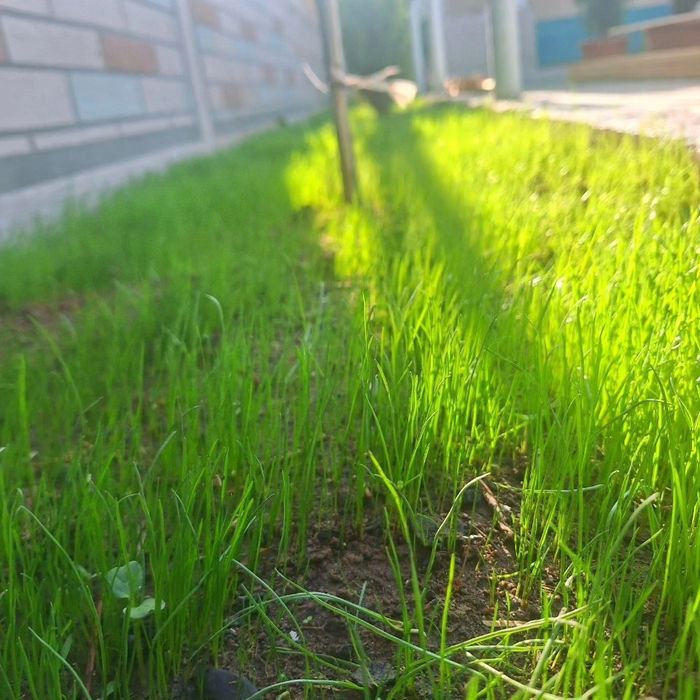 Qilgan ishga javob beradi  qilgan ishimizga karanta beriladi