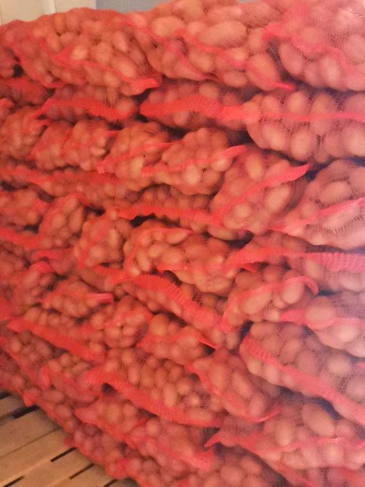 Cartofi roși pentru consum