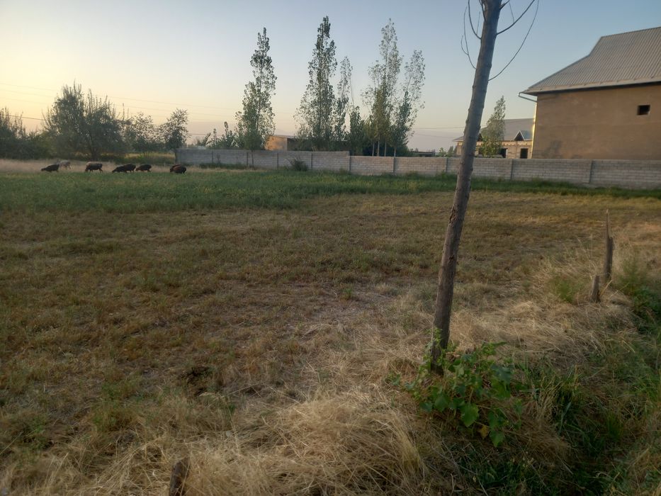 16 sotix yer sotiladi