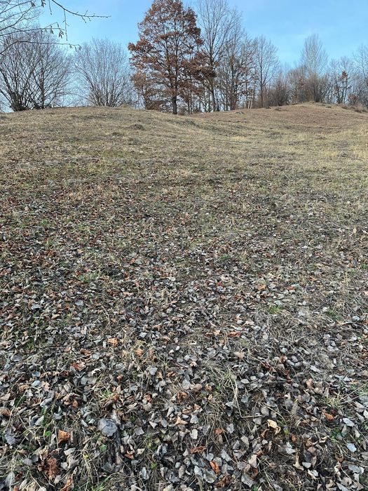 Teren 5000 mp de vânzare – vedere la lac, Buhalnița, jud. Neamț