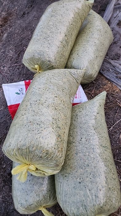 Silos sotiladi. Maxsus tayyorlangan.