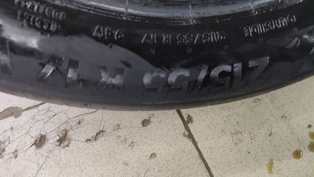 Шины континента ль лето