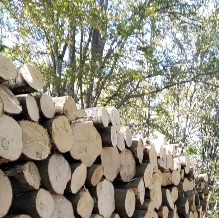 Дърва за огрев Метрови