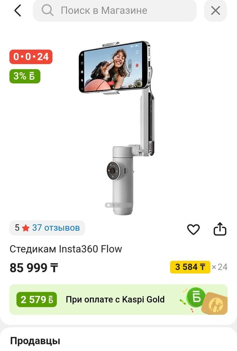 Стедикам Insta360 Flow