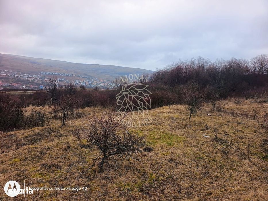 Teren de vânzare intravilan 8500 mp Chinteni Cluj oportunitate investi