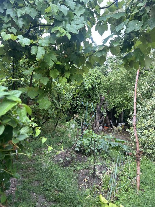 Casa in centru cu gradina in zona centrala