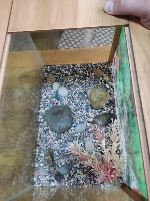 Продам аквариум не большой