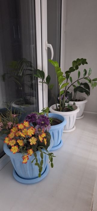 Час 2500,АРБАТ,Котон Круглосуточно