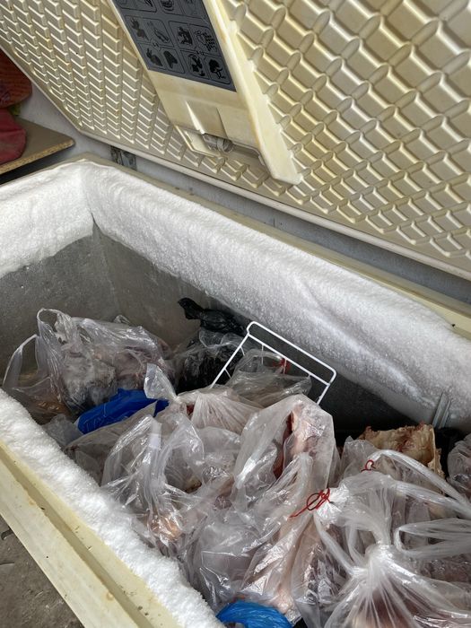 Морозильник UGUR