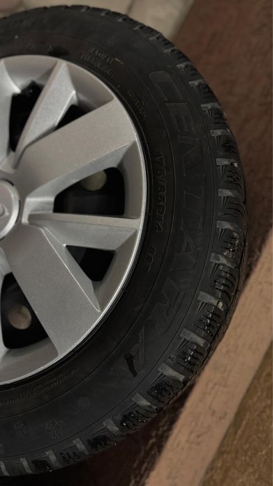 Болоны и диски колпоки