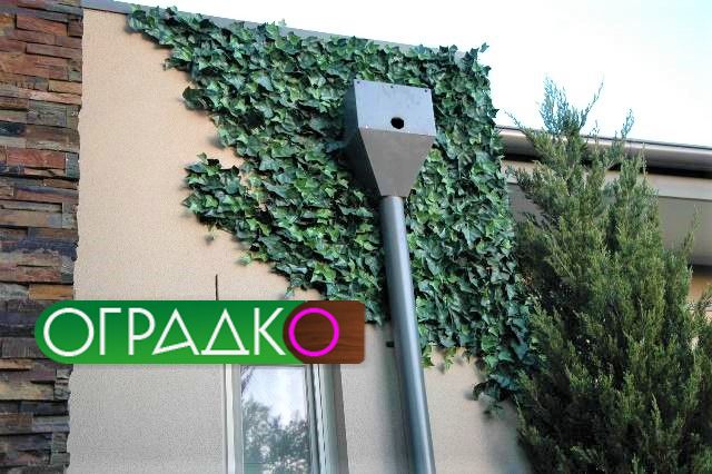 Декоративни оградни пана. Жив плет, бръшлян, чемшир. Най-ниските цени!