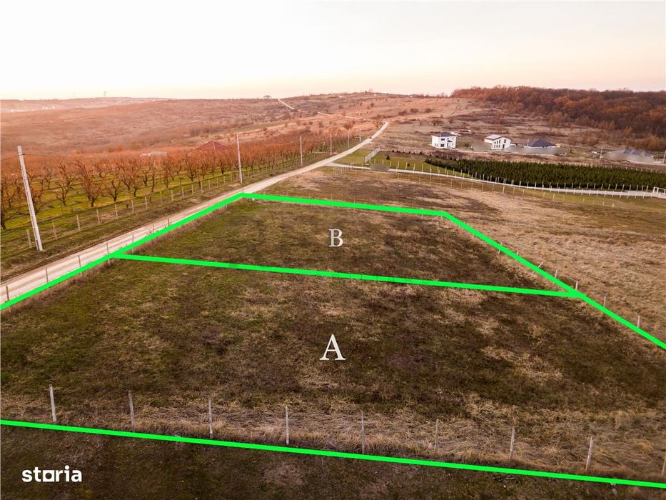 RECO Teren intravilan in Saldabagiu de Munte
