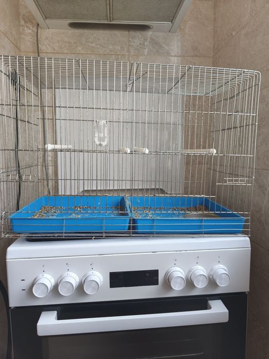 Клетка Волиера .