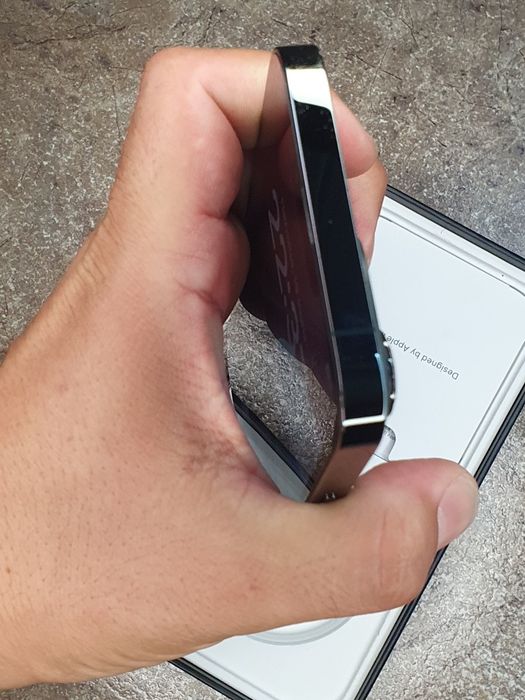 iPhone 13 Pro Max 256 GB