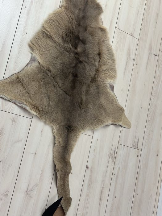 Редкий интерьерный коврик из натуральной шкуры кенгуру