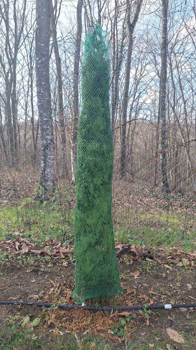 Мрежа за туя (мрежи за туи)