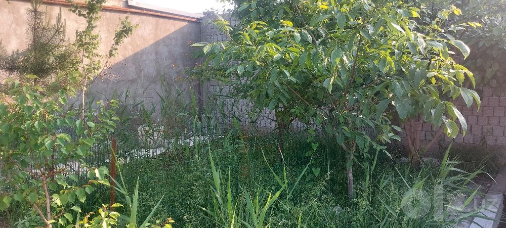 Дала ховли, цех ишлаб чикариш билан бирга