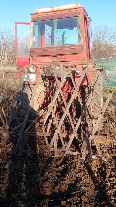 владимировец 30 коня