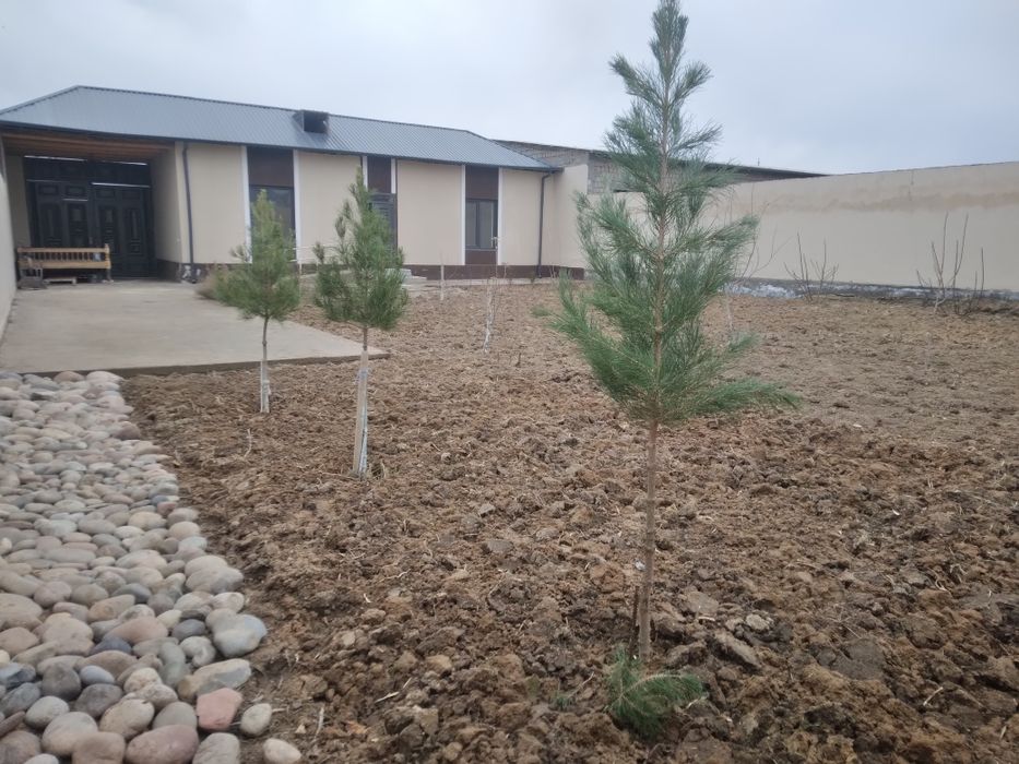 Кибрай.мехнат.Бешбармок.5 сотих