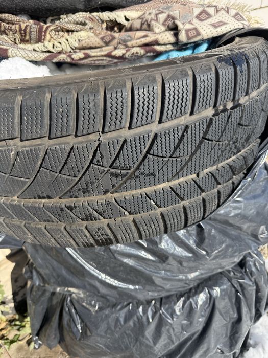 Продам ризина лепучка