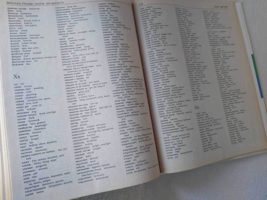 Английско-български речник: Тълковен и двуезичен