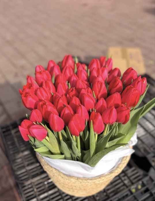 Тюльпаны Алматы 8 март