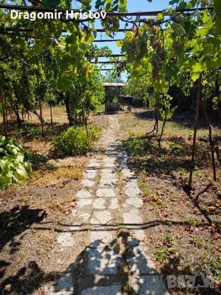 Продава се Къща в Плевен, Идеален център - 80 кв.м за 243 €/кв.м - Снимка #10