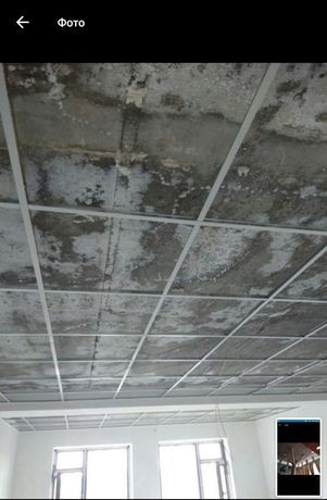 Армстронг Armstrong осма патолог