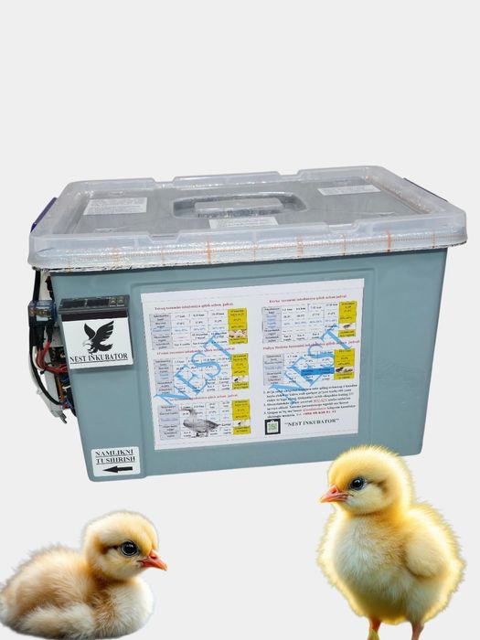 Nest   Inkubator