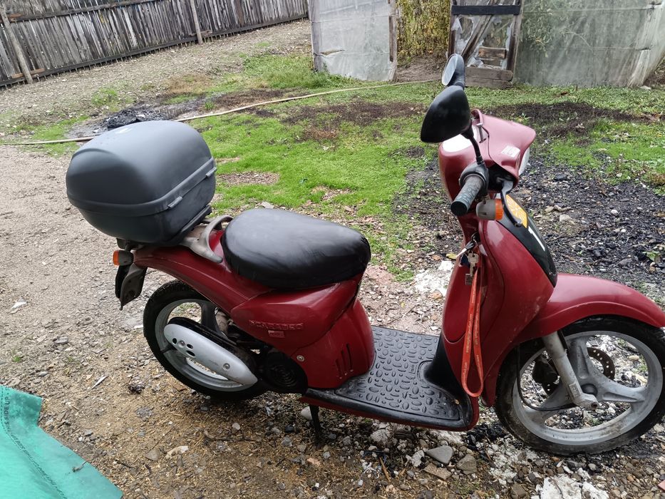 Scarabeo origine italia