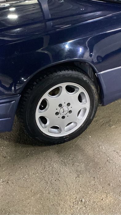 Ромашка титанка R16