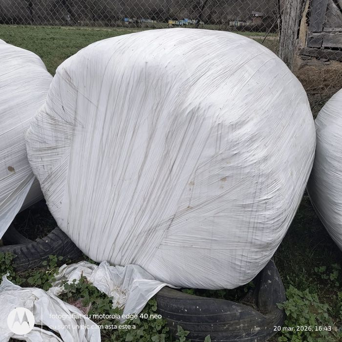 Vand baloti de lucerna