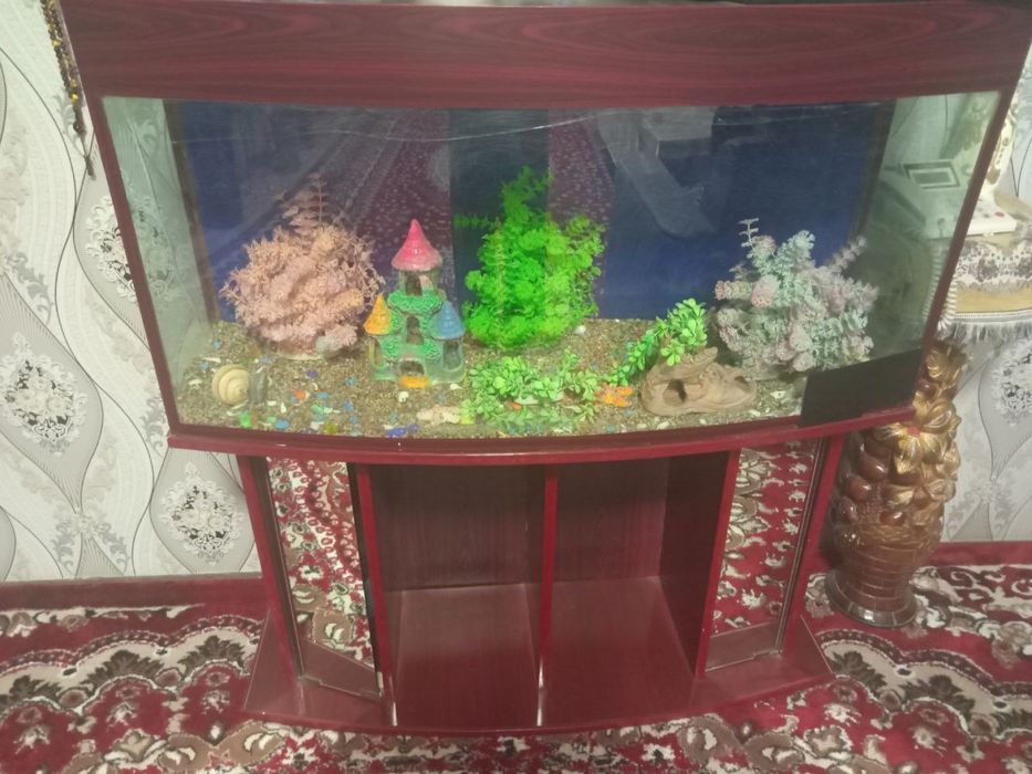 Аквариум олди ойнаси синган