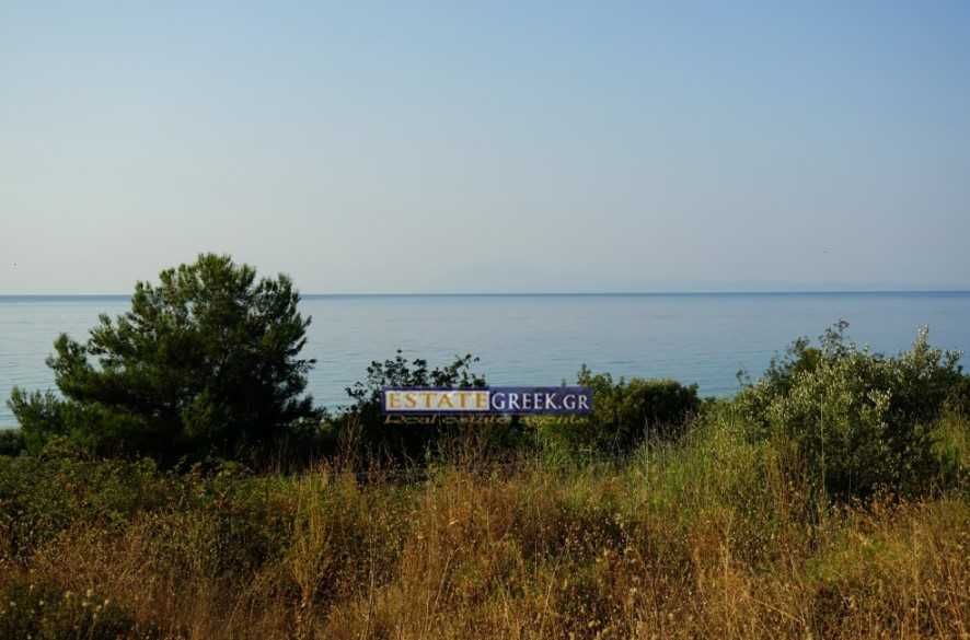 Продава се Парцел в Пловдив, Филипово - 9069 кв.м за 37 €/кв.м - Снимка #6