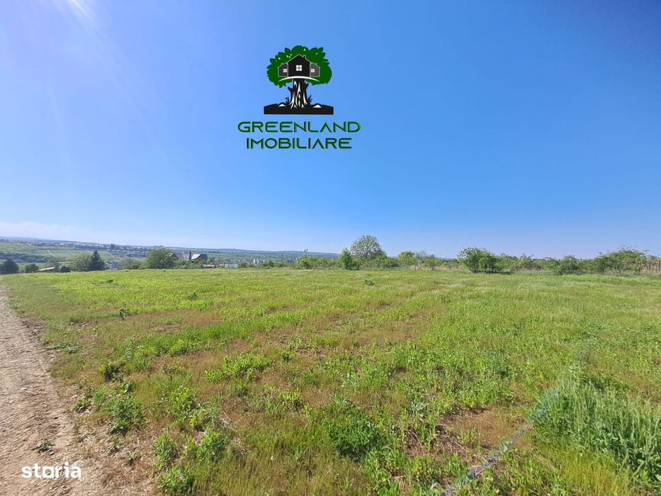 Teren Intravilan, 640 mp, Vedere panoramica, toate Utilitatile, Bucium
