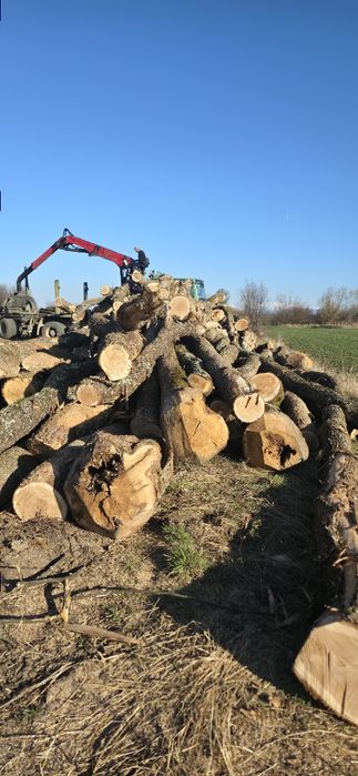 Lemn de foc stejar(bustean) – 400 lei / m³

Vând lemn de foc din **ste