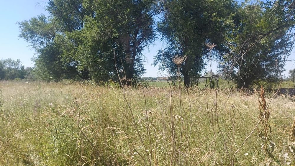 Продам озеро и кашар