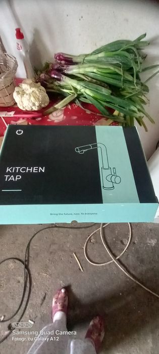 Baterie extractabila