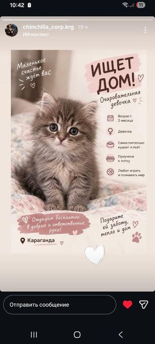 Друг семьи, катёнок