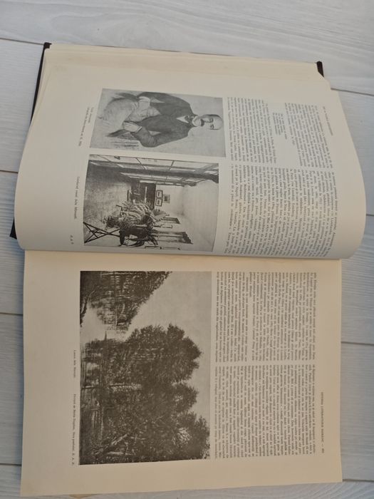 Istoria literaturii de la origini, George Călinescu, 1941, Princeps