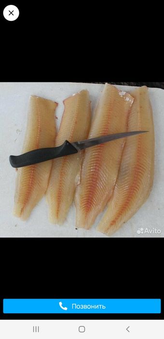 Филе щуки оптом !!!